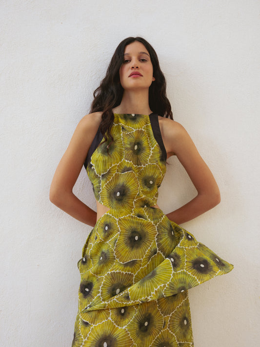 Araceli Dress in Garden